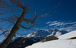 17-IL RIFUGIO-AGRITURISMO TIRONI-CONSOLI